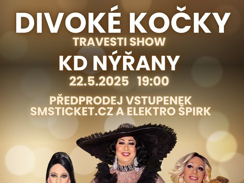 Plakát události Travesti show Divoké kočky v Nýřanech