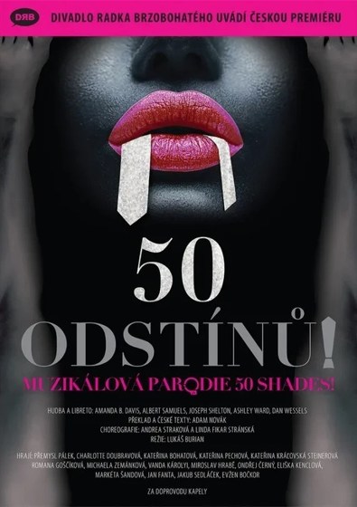 Plakát události 50.odstínů!