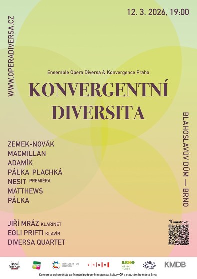 Plakát události Konvergentní diversita