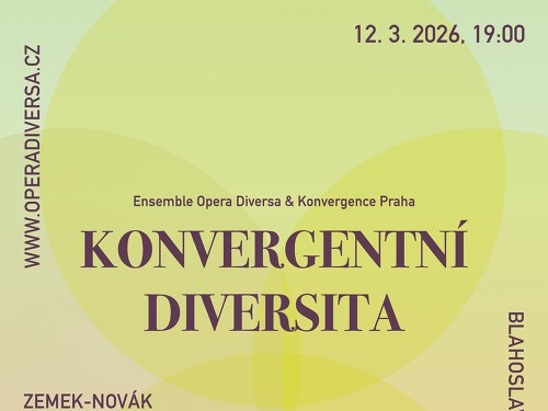 Plakát události Konvergentní diversita