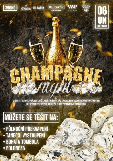 Plakát události Ples Obchodní akademie