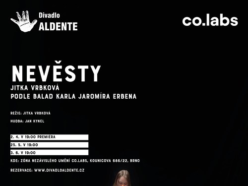 Plakát události Nevěsty