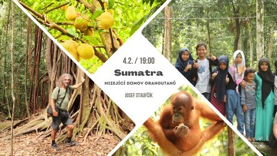 Plakát události Sumatra - neopakovatelná příroda, mizející domov orangutanů