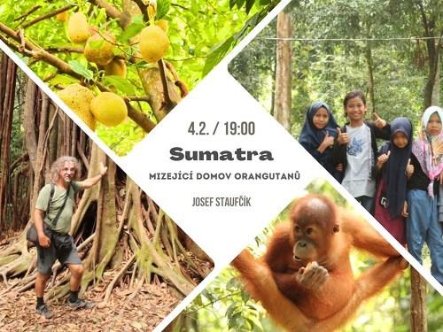 Plakát události Sumatra - neopakovatelná příroda, mizející domov orangutanů