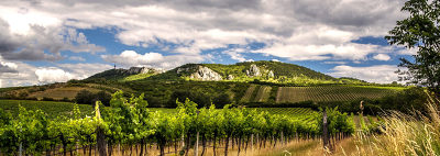 Plakát události Vystava vín