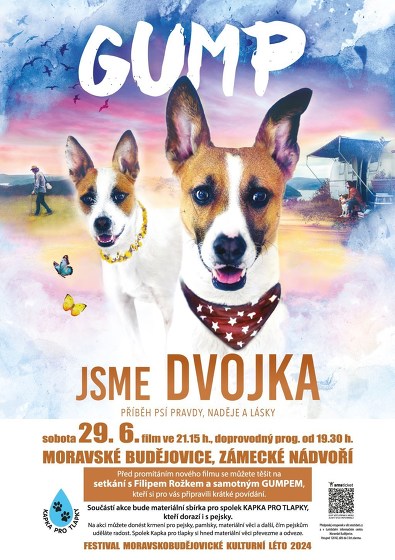 Plakát události Letní kino: Gump - jsme dvojka + !Setkání s Gumpem!