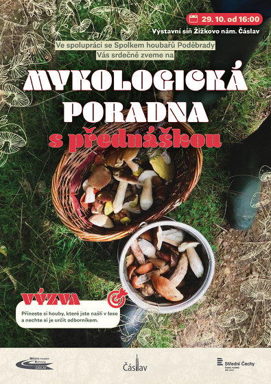 Plakát události Mykologická poradna s přednáškou