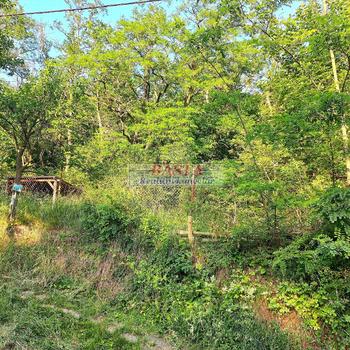 Ivančice okres Brno-venkov pronájem starší RD 2+1 na klidném místě u lesa se zahradou a dvorem