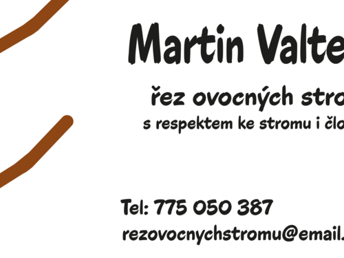 Odborný řez ovocných stromů