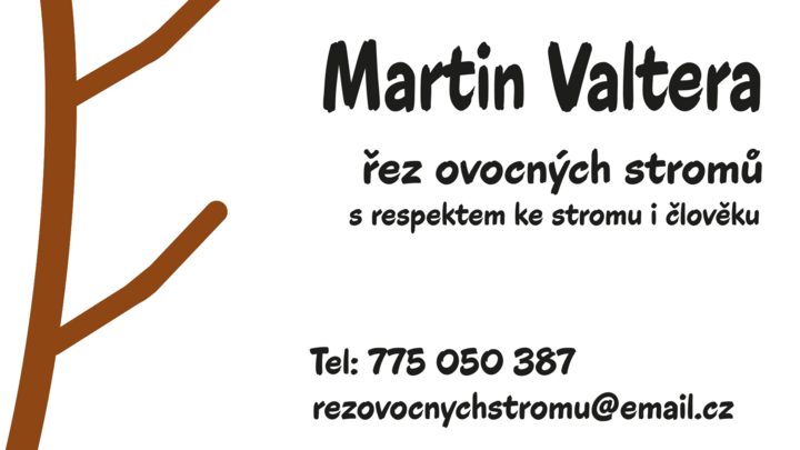 Odborný řez ovocných stromů