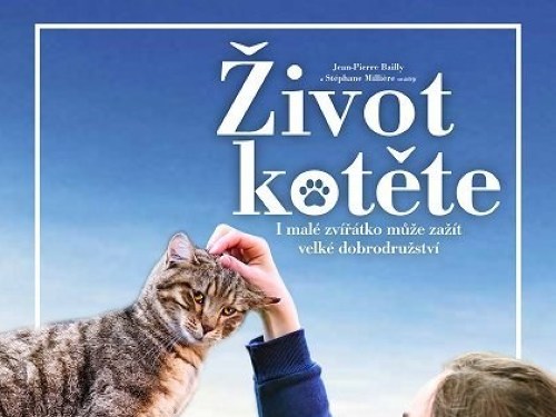 Plakát události Život kotěte