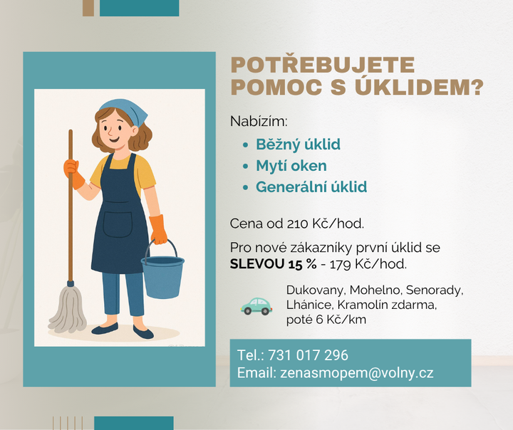 Nabízím úklid v domácnostech