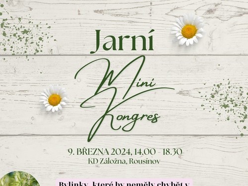 Plakát události Jarní Mini Kongres 2024