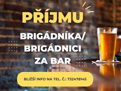 Hospůdka Pod Lipou nabízí práci na pozici Číšník-servirka v obci Tetčice