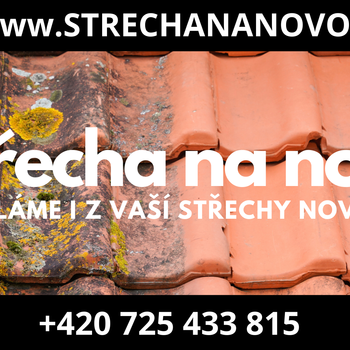Čištění střech, fasád a zámkových dlažeb vysokotlakovým čističem za použití chemie šetrné k přírodě.