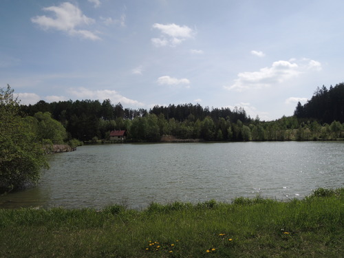 Pronájem pozemku 6 000 m2 u Bělizny v okolí Pucova