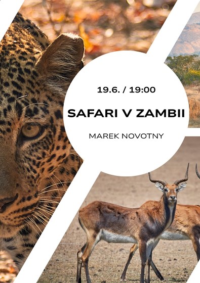 Plakát události Safari v Zambii