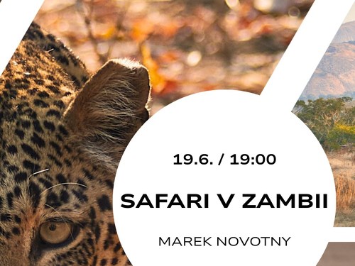 Plakát události Safari v Zambii