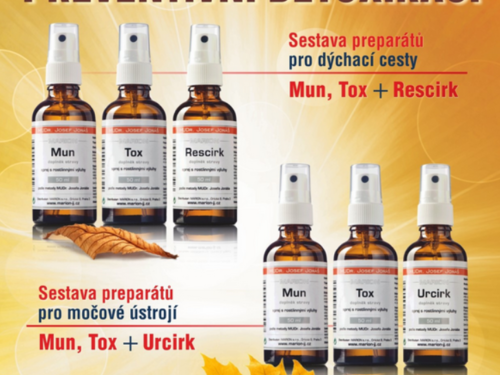 Detoxikace organismu