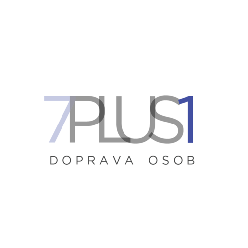 Taxi doprava osob 7+1