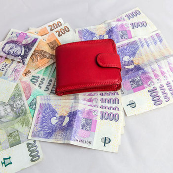 nabídka rychlé a jednoduché nebankovní půjčky.