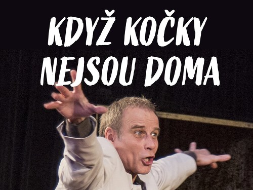 Plakát události Když kočky nejsou doma | Amfík Bukovina