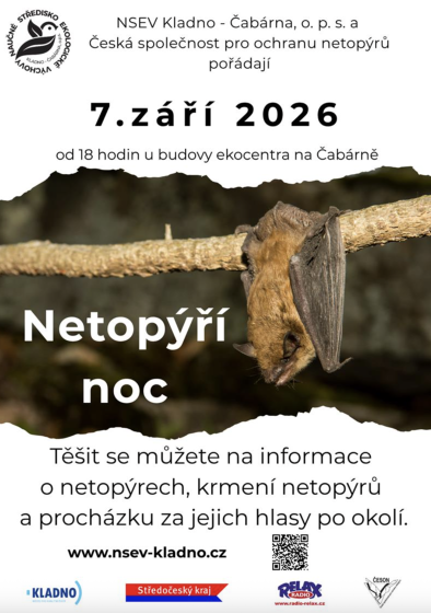 Plakát události Netopýří noc
