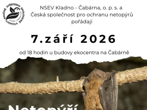 Plakát události Netopýří noc
