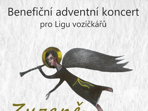 Plakát události Zuzaně Navarové do nebes