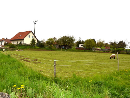 Prodej pozemku 1230 m2 Žernovník