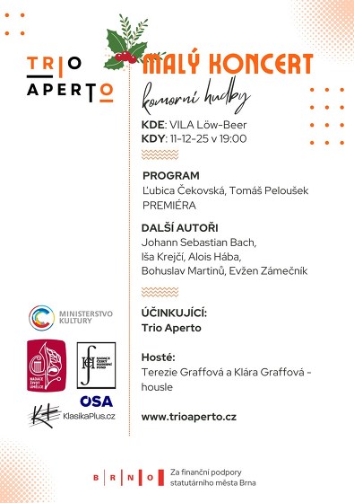 Plakát události Malý adventní koncert komorní hudby