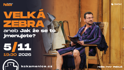 Plakát události Velká zebra aneb Jak že se to jmenujete?