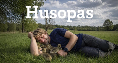 Plakát události Husopas: Audiovizuální projekce