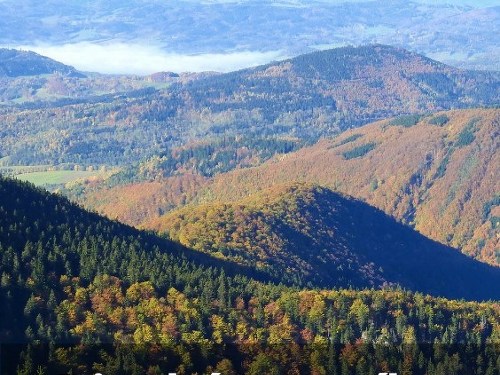 Plakát události Divoké Jeseníky a návrat vlků