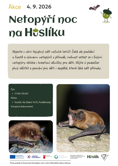 Plakát události Netopýří noc na Huslíku