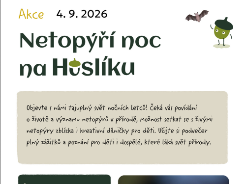 Plakát události Netopýří noc na Huslíku
