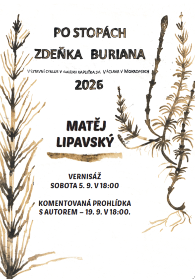 Plakát události Vernisáž výstavy Matěje Lipavského