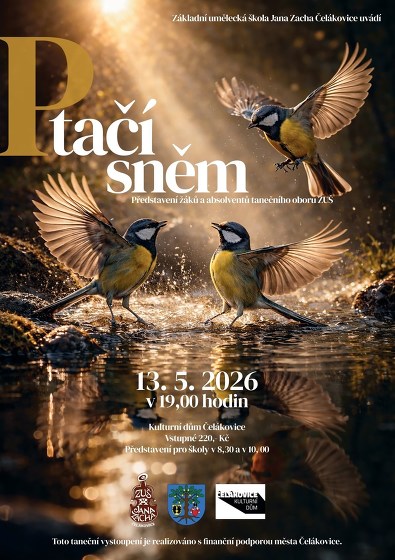 Plakát události Ptačí sněm