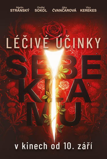 Plakát události Léčivé účinky sebeklamu