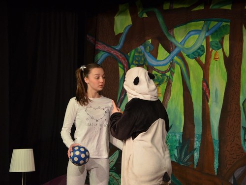 Plakát události Dobrodružství pandy Bublinky a její kamarádky Aničky