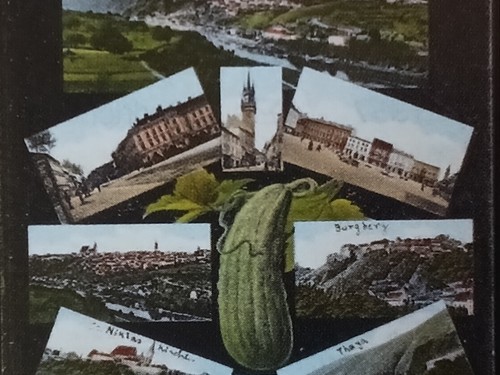 Pohlednice do roku 1945 odkoupím hotově