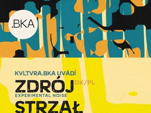 Plakát události Zdrój (PL/NL) & Strzał w kolano (PL) & Zabloudil/a (CZ)
