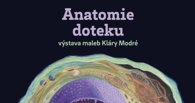 Plakát události Anatomie doteku