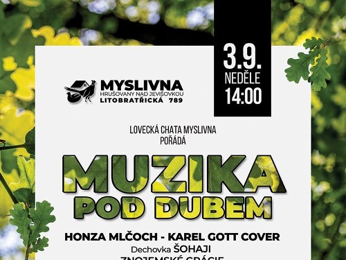 Plakát události MUZIKA POD DUBEM