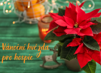 Plakát události Vánoční hvězda pro hospic