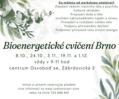 Plakát události Bioenergetické cvičení