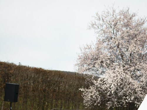 Plakát události Treatment of Remembering ~ outdoor