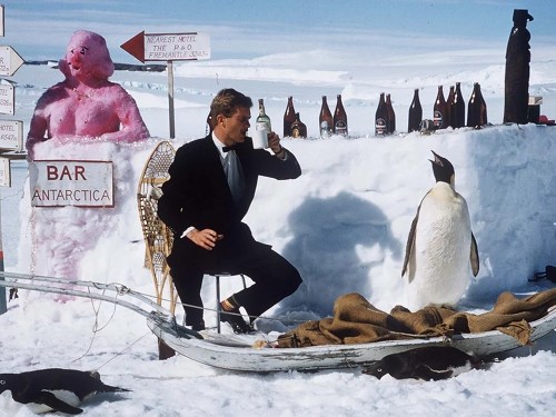 Plakát události Ples Expedition clubu