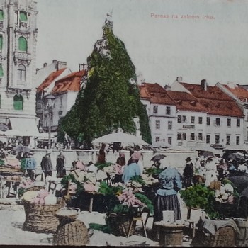 Pohlednice do roku 1945 odkoupím hotově