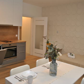 Nabízím byt 1+kk Židlochovice